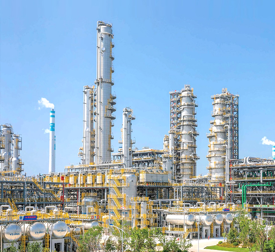 Yangs & M Enterprise Limited