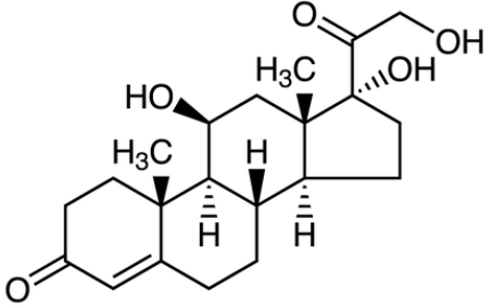 氢化可的松
