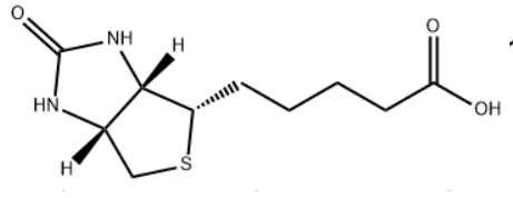 生物素