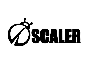 Scaler